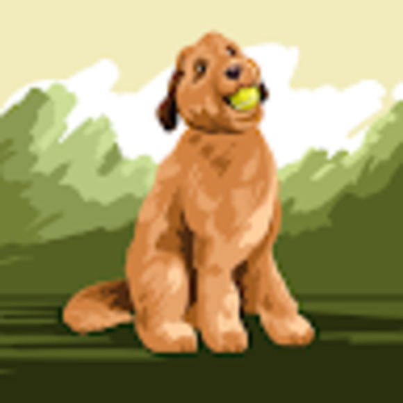 Meet your Posher, Nellie - Picture 1 of 1